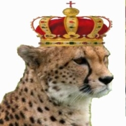 Avatar of user Cheetah King