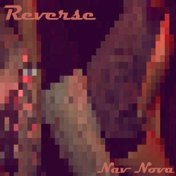 Cover of track Reverse by WYZE