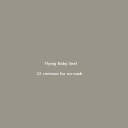 Cover of album 22 Remixes for no-cash by Flying Baby Seal