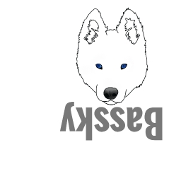 Avatar of user Bassky(old)