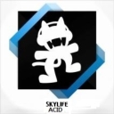 Cover of album Skylife - Acid by Skylife