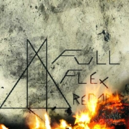 Avatar of user FULL FLEX RECORDS