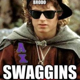Avatar of user Brodo Swaggins