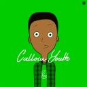 Cover of album Callow Youth by trevor whatevr