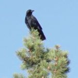 Avatar of user lexacoil-Y2GeGTY