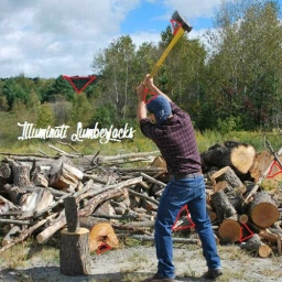 Cover of track Illuminati Lumberjacks by abstract