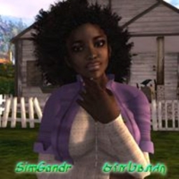 Avatar of user simgandr_nl