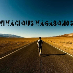 Cover of track Vivacious Vagabonds by abstract