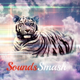 Avatar of user SoundsSmash®
