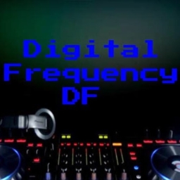 Avatar of user Digital_Frequency