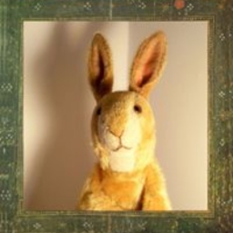 Avatar of user viciubitza