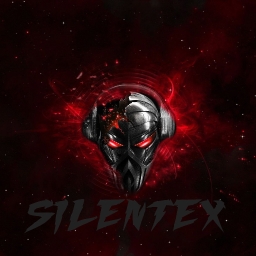 Avatar of user SilenteX
