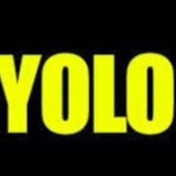 Avatar of user yesqwhat_yolo