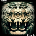 Cover of album Reborn by rikan