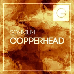 Cover of track Copperhead by Somnium [Wise Ed]