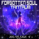 Cover of album Forgotten Soul - Single by Tantrum