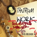 Cover of album Work (Electro House VIP) - Single by Tantrum
