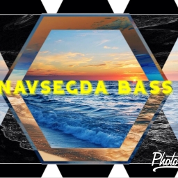 Avatar of user Navsegda Bass