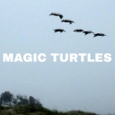 Cover of album Magic Turtles by MarianTheBeat
