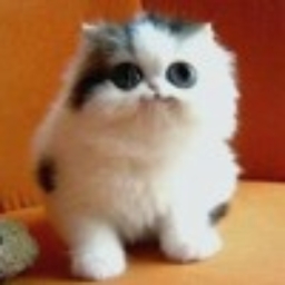 Avatar of user PabloJA