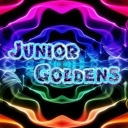 Avatar of user junior_goldens