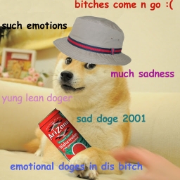 Avatar of user doge_with_it_d