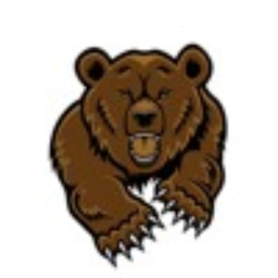 Avatar of user Th3Grizzly