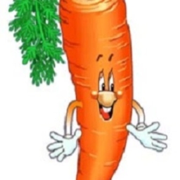 Avatar of user carrot_thousand
