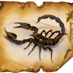 Avatar of user skorpion-KpWbwpCDo