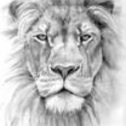 Avatar of user @LIONS PRODUCTION*