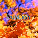 Cover of album Lost In The Moment by DubLion