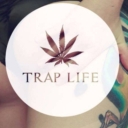 Avatar of user Trap Life