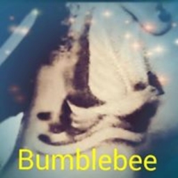 Avatar of user bumble_buzzin_bee