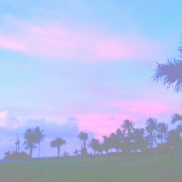 Avatar of user babygirl_x