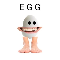 Avatar of user eggyboicool